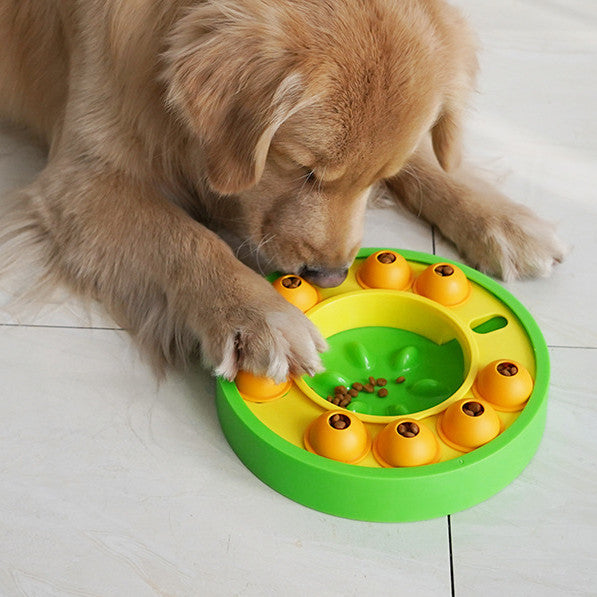 Dog playing with BrainyBowl puzzle feeder
