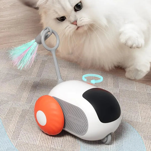Cat chasing the ChaseBot interactive toy car