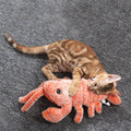 Cat playing with Flippy Lobster wiggling toys