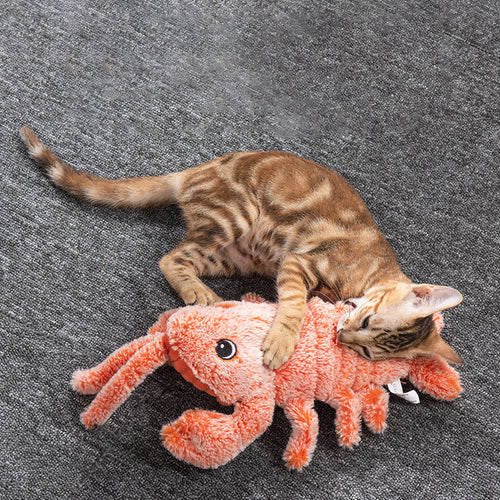 Cat playing with Flippy Lobster wiggling toys