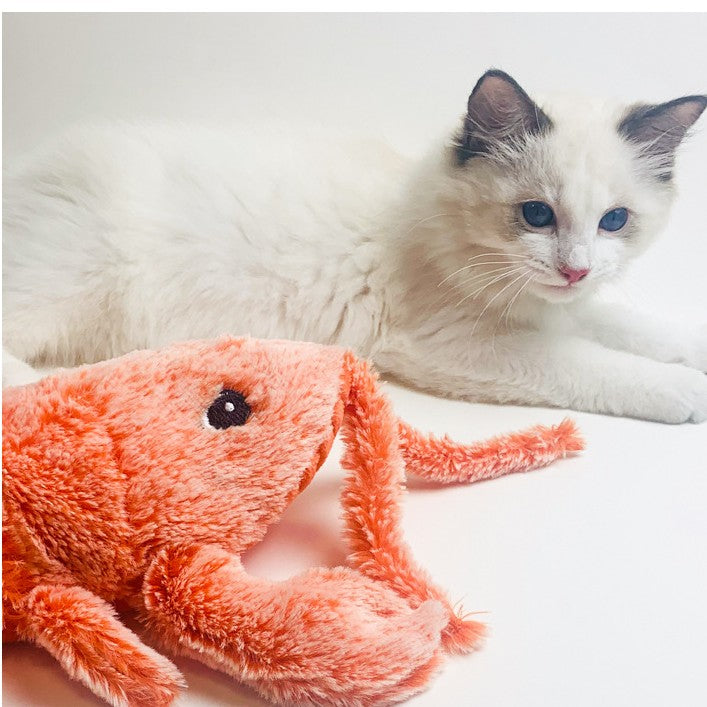 Cat lying next to Flippy Lobster toy